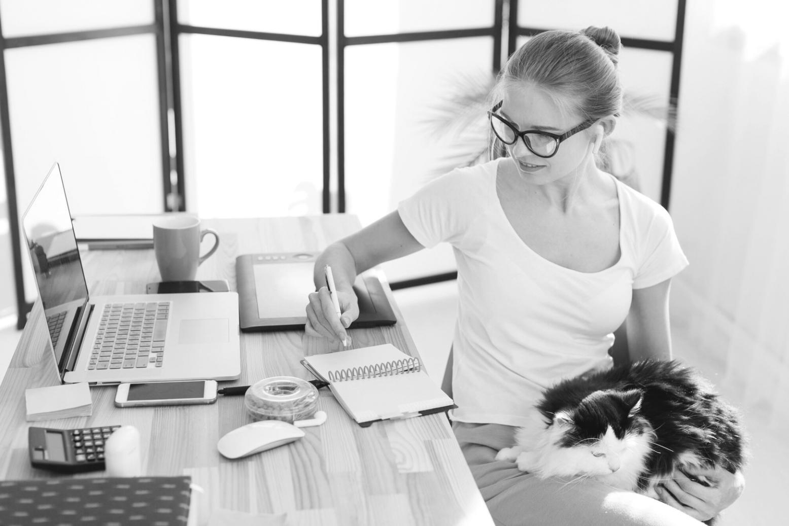 Session d'analyse financière personnalisée